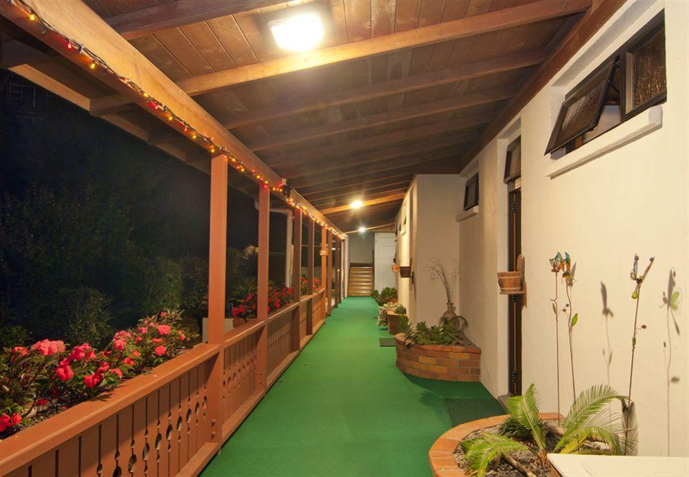 Swiss Chalet Lodge Motel Пайхия Екстериор снимка