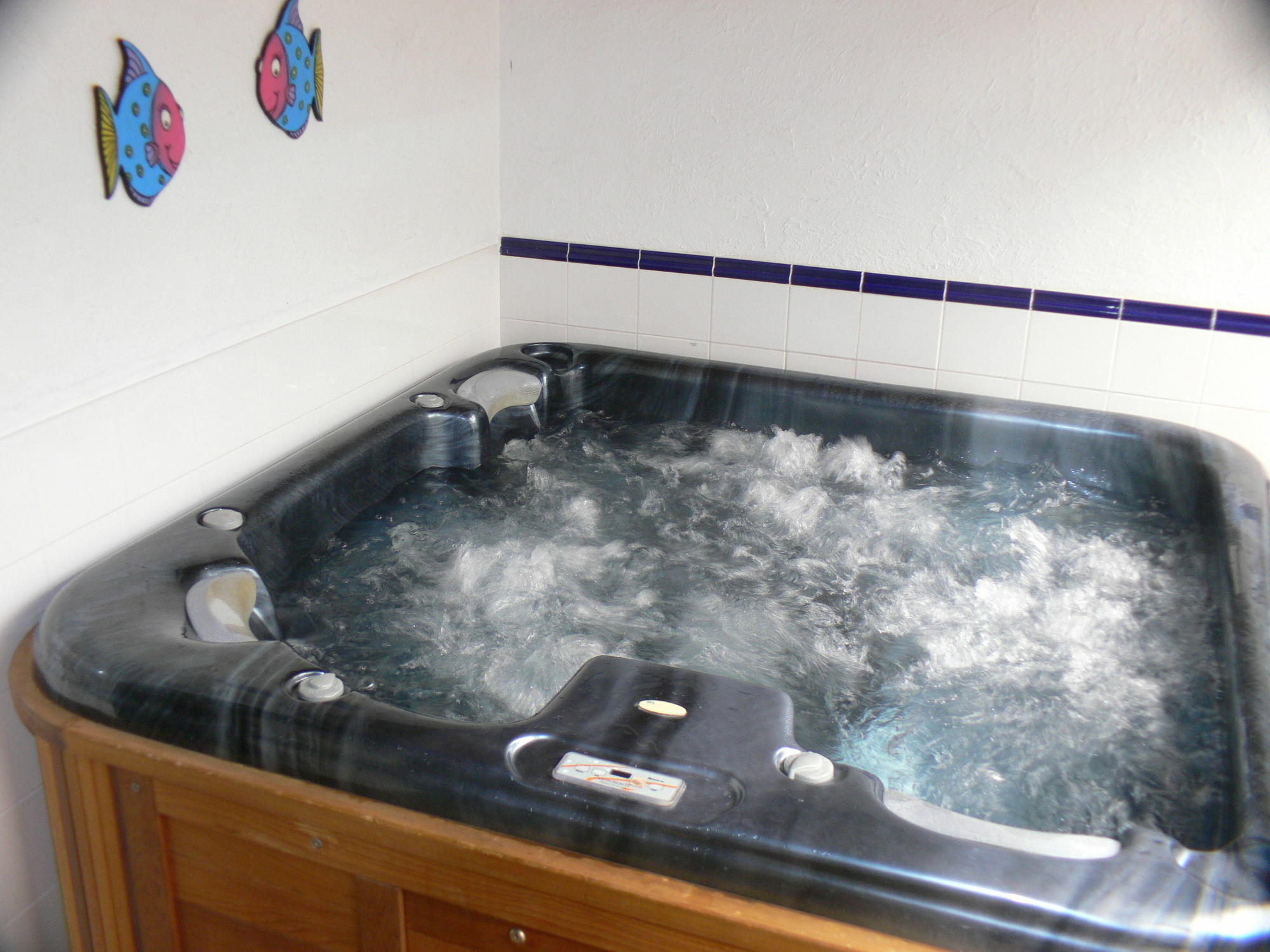 Swiss Chalet Lodge Motel Пайхия Екстериор снимка