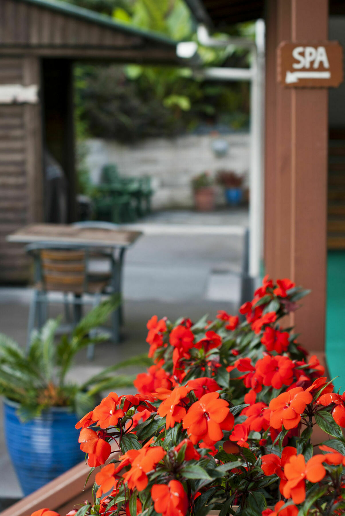 Swiss Chalet Lodge Motel Пайхия Екстериор снимка